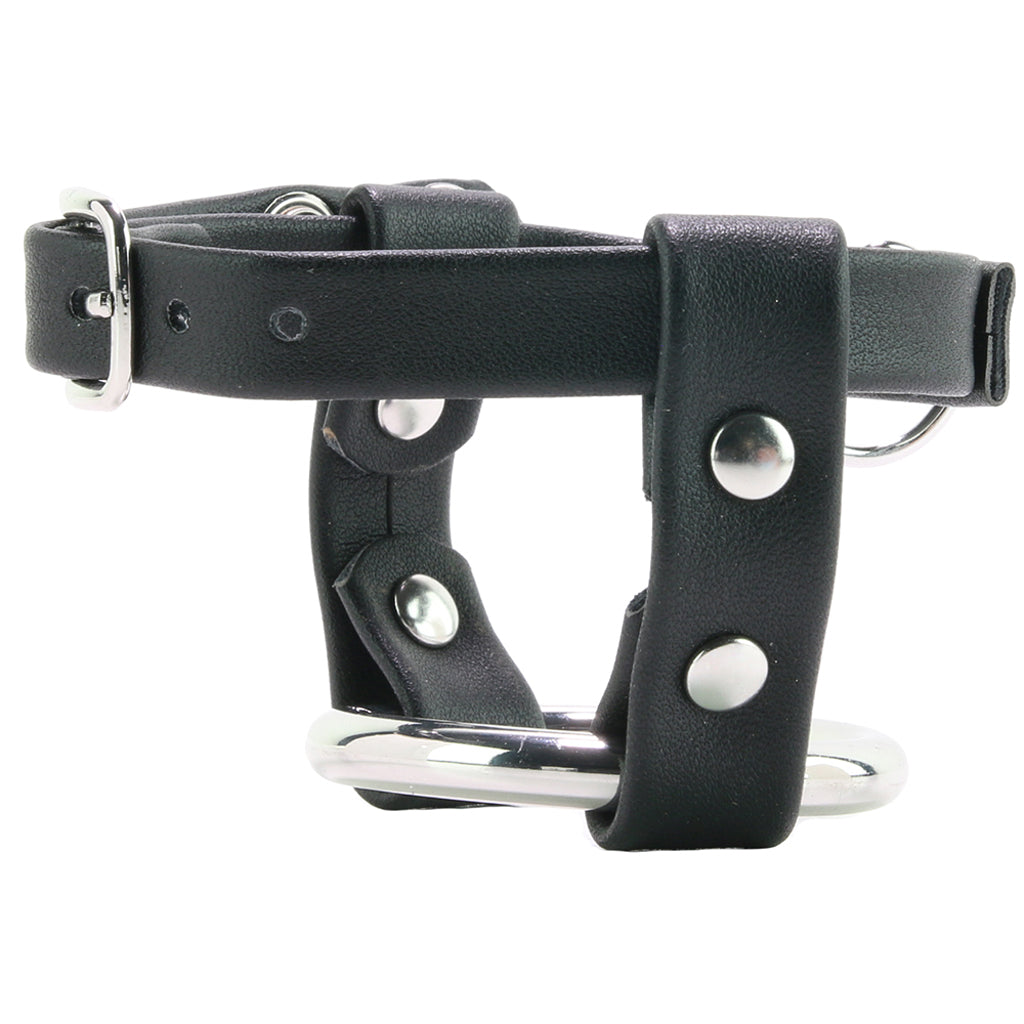 Metal Cock Ring with Locking Ball Strap — Heaven Boutique Calgary 4