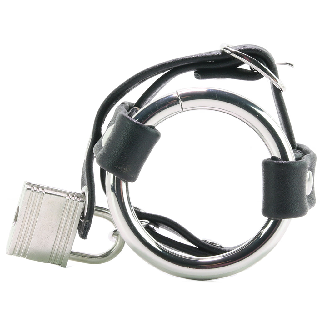 Metal Cock Ring with Locking Ball Strap — Heaven Boutique Calgary 2