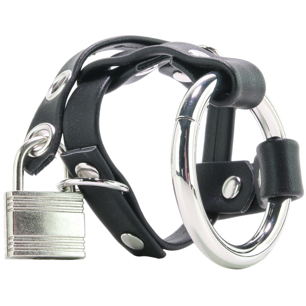Metal Cock Ring with Locking Ball Strap — Heaven Boutique Calgary 1