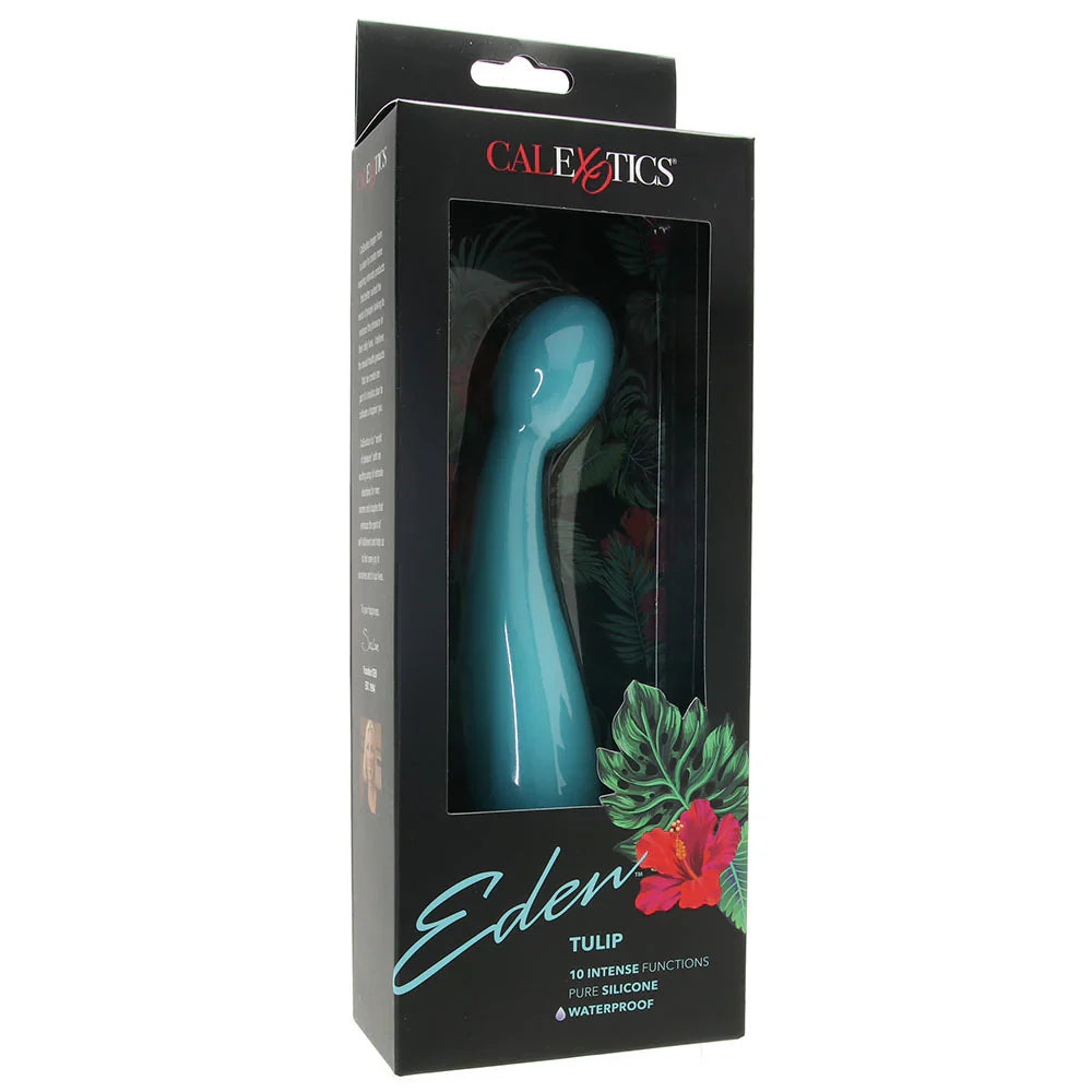 Eden Silicone Tulip Vibe in Teal — buy in Calgary | Heaven Boutique