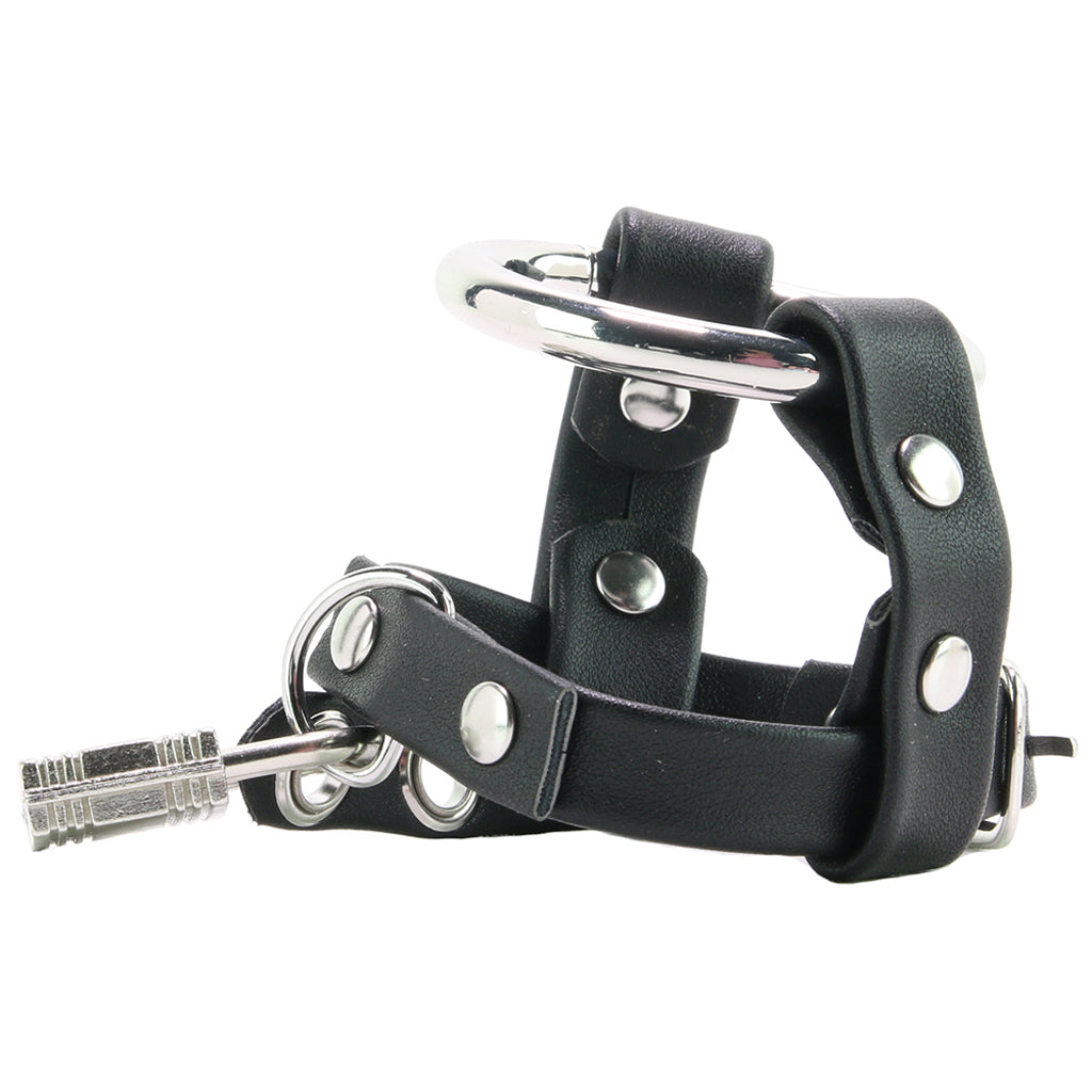 Metal Cock Ring with Locking Ball Strap — Heaven Boutique Calgary 5