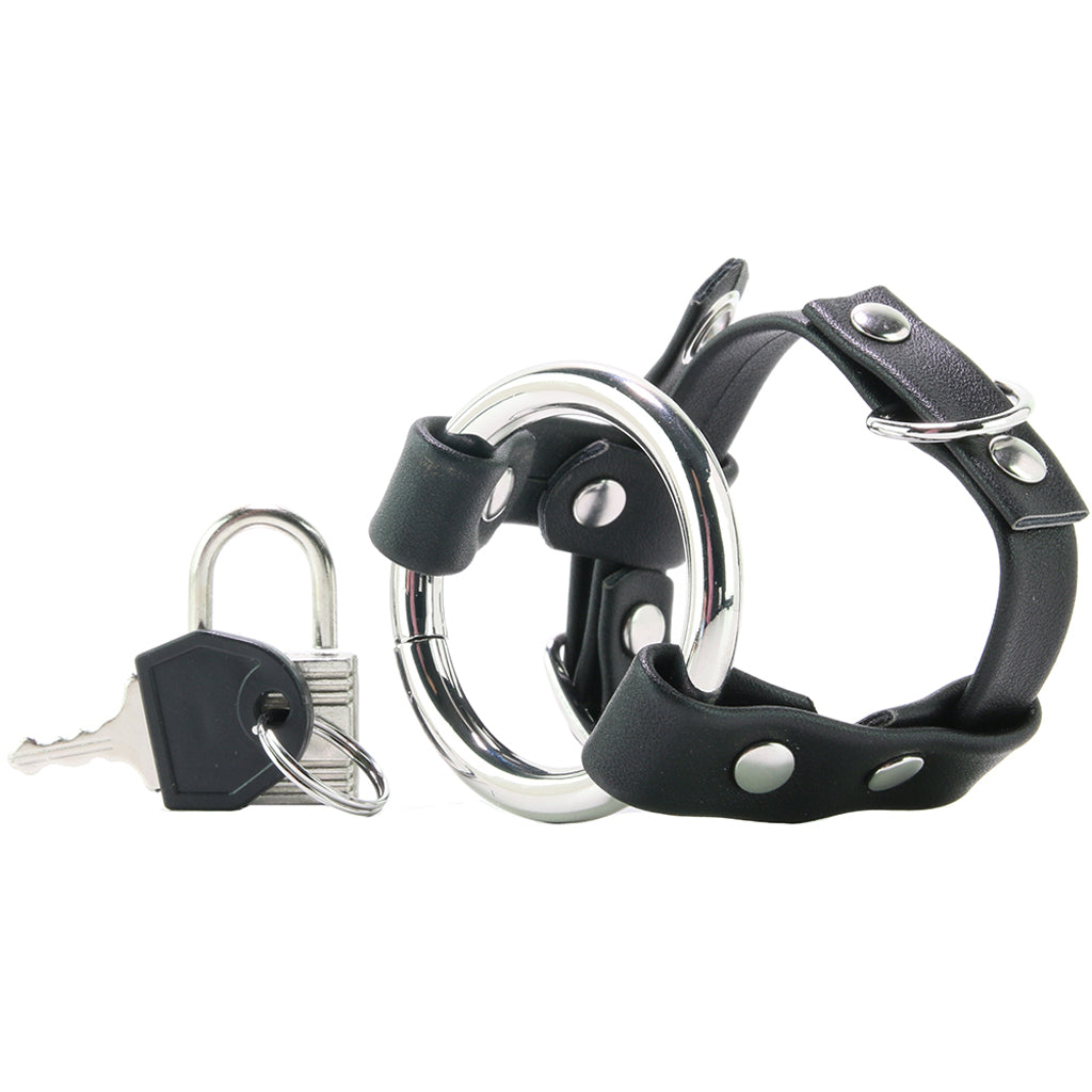 Metal Cock Ring with Locking Ball Strap — Heaven Boutique Calgary 3